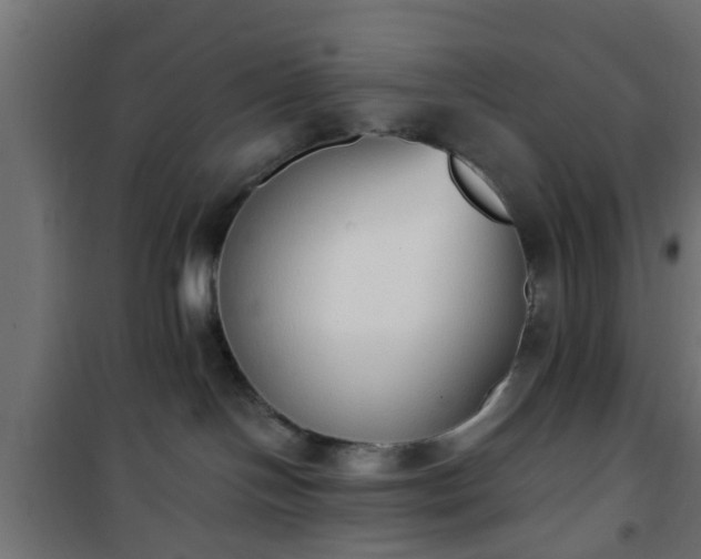 X0000101390094200807141143