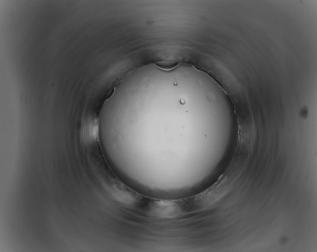 X0000101390095200807141143