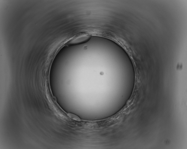 X0000101390097200807141142