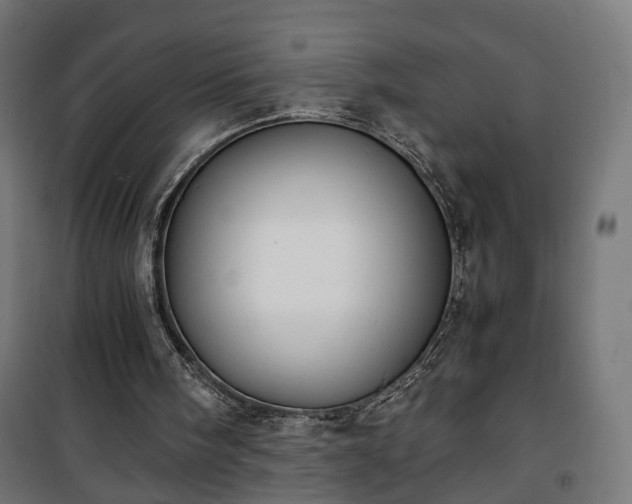 X0000101390098200807141142