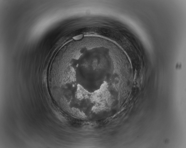 X0000101390099200807141142