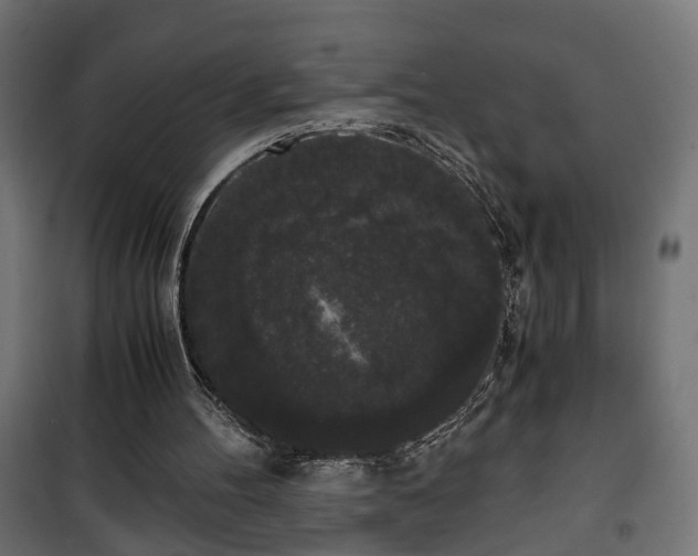 X0000101390100200807141142