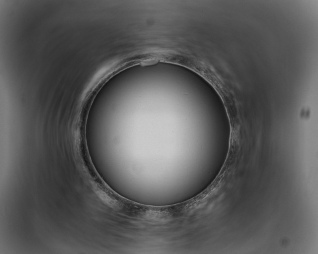 X0000101390101200807141142