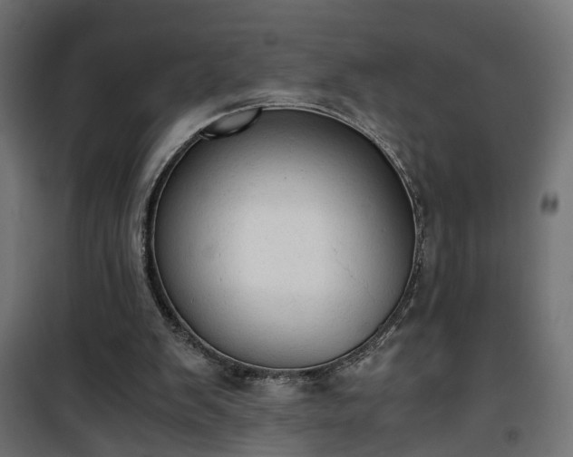 X0000101390103200807141142