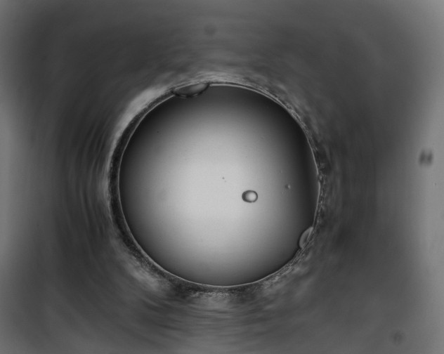 X0000101390104200807141142