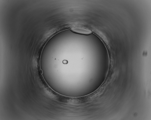 X0000101390105200807141142