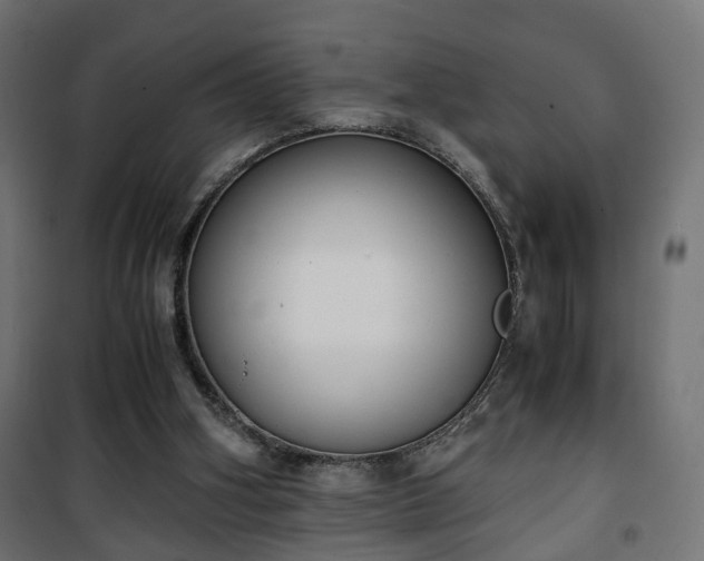 X0000101390106200807141142