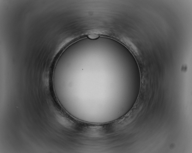 X0000101390108200807141142