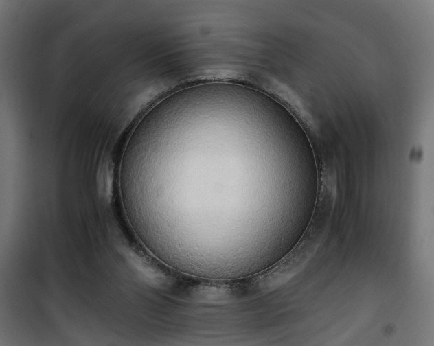 X0000101390110200807141142