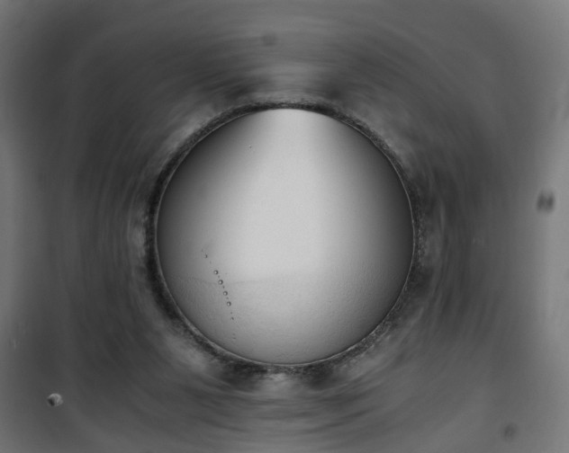 X0000101390111200807141142