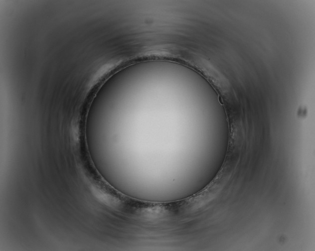 X0000101390112200807141142