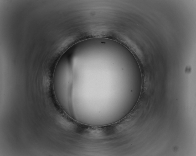 X0000101390113200807141142