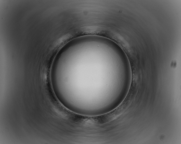 X0000101390115200807141142