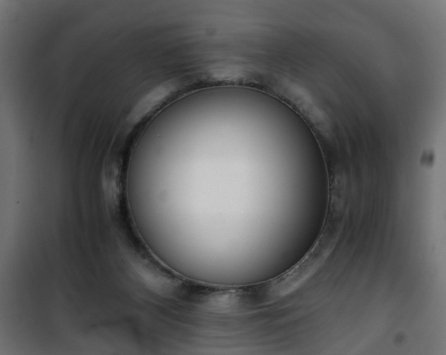 X0000101390116200807141142