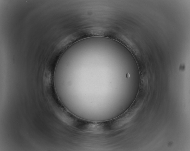 X0000101390117200807141142