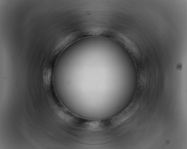 X0000101390118200807141142