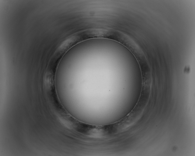 X0000101390119200807141142