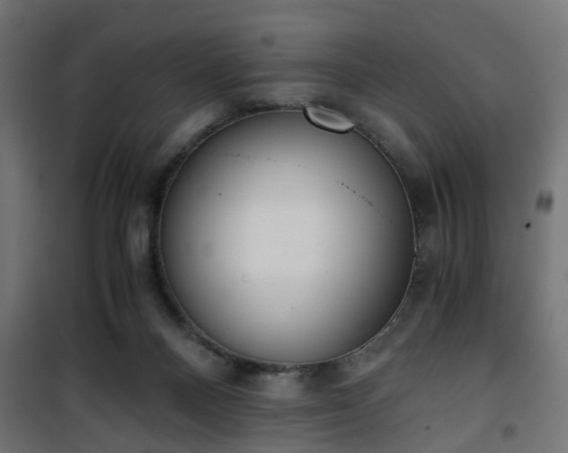 X0000101390120200807141142