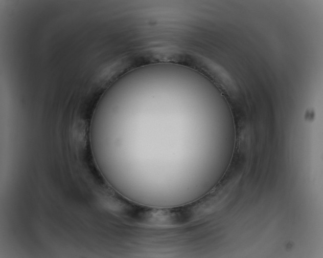 X0000101390121200807141142