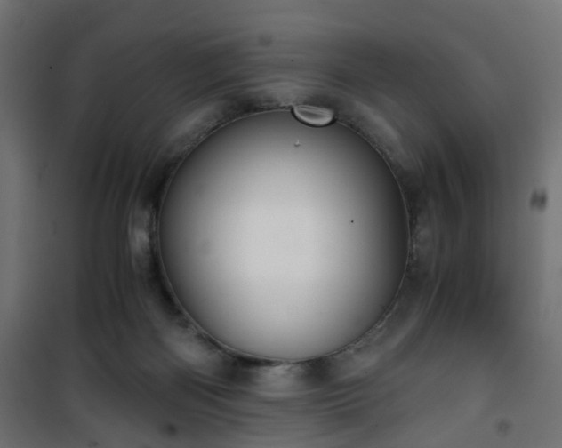 X0000101390122200807141142