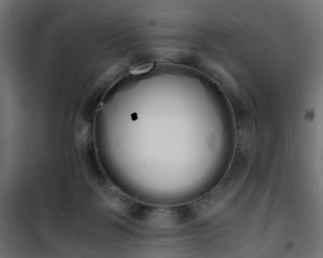 X0000101390123200807141142