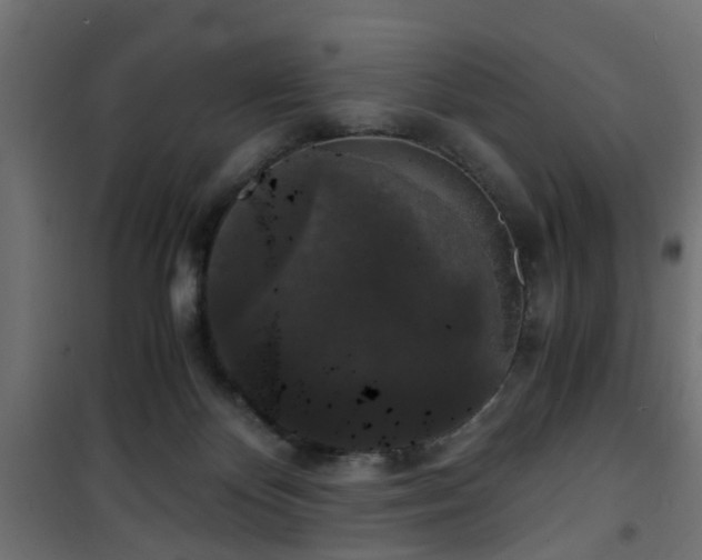 X0000101390124200807141142