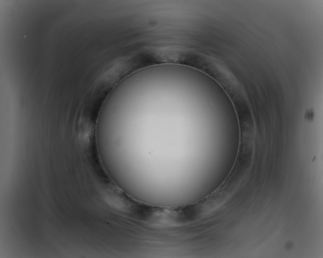 X0000101390125200807141142