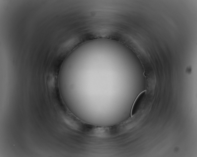 X0000101390126200807141142