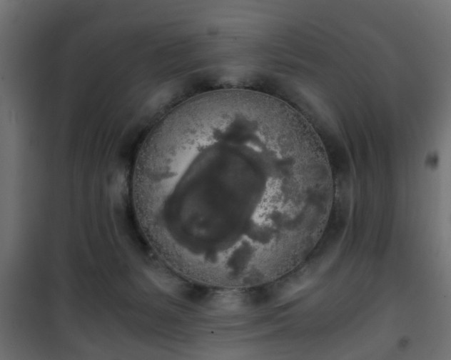 X0000101390127200807141142