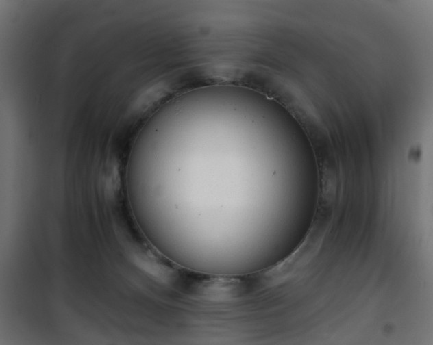 X0000101390128200807141142