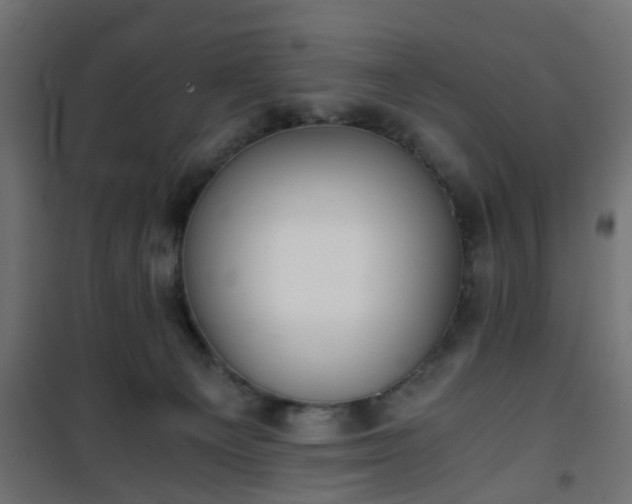 X0000101390129200807141142