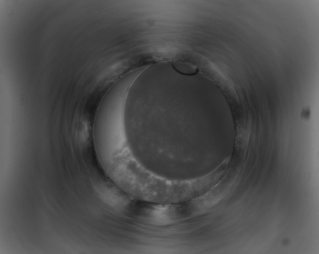 X0000101390130200807141142