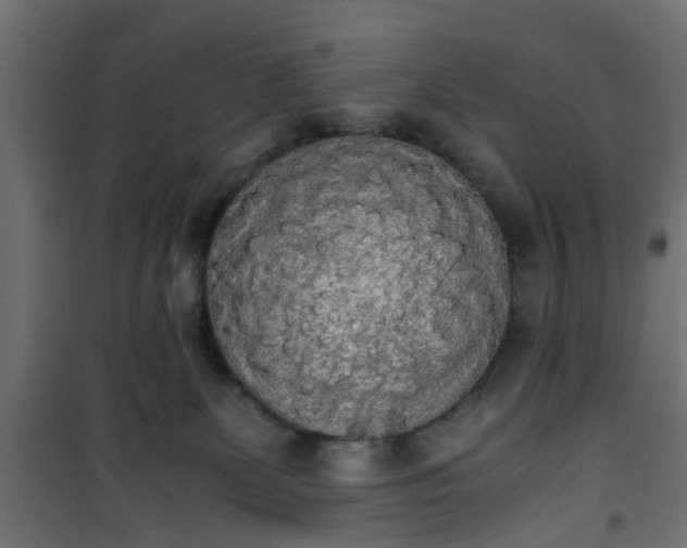 X0000101390131200807141142