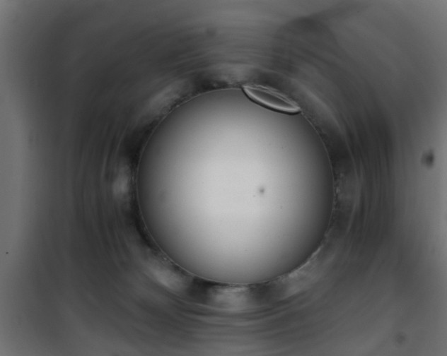 X0000101390132200807141142