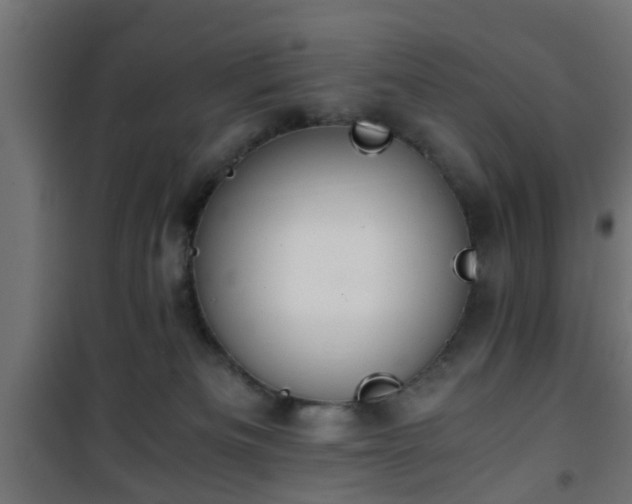 X0000101390133200807141142