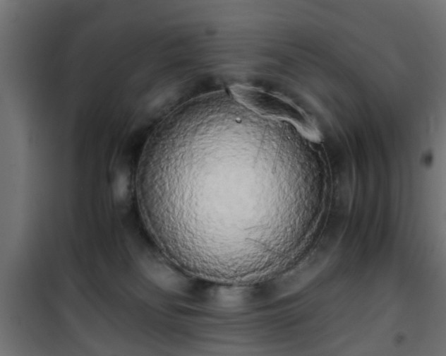 X0000101390134200807141142