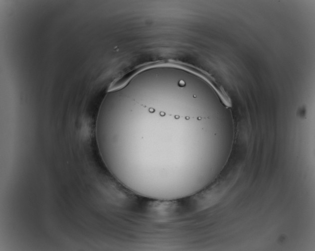 X0000101390135200807141142