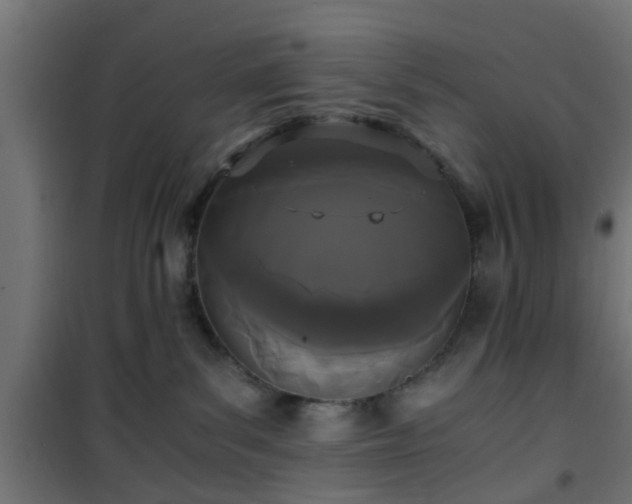 X0000101390139200807141142