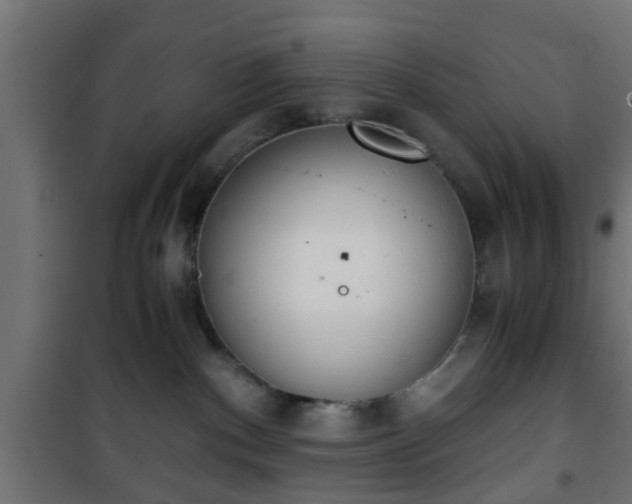 X0000101390140200807141142