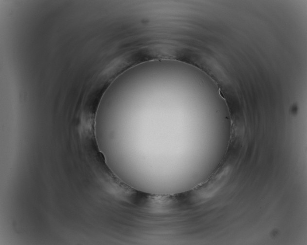 X0000101390141200807141142