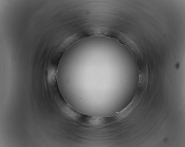 X0000101390142200807141142