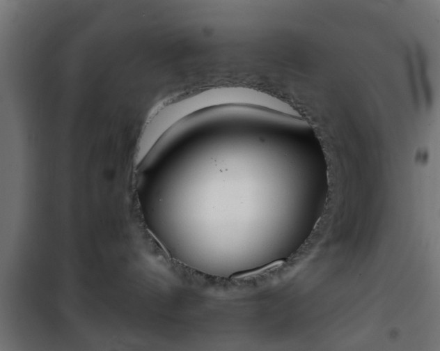 X0000101390144200807141141