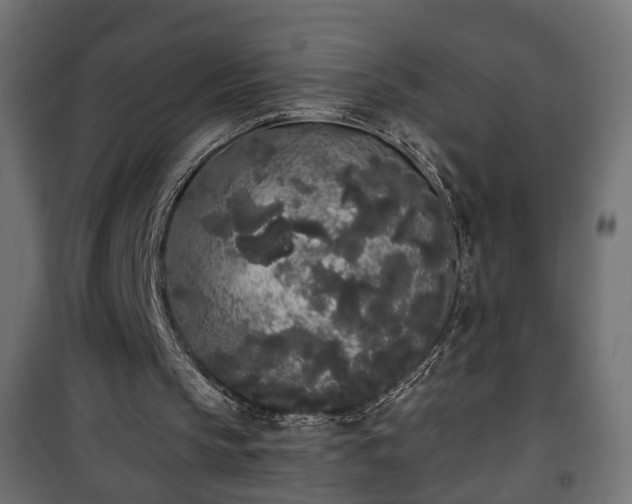 X0000101390145200807141141