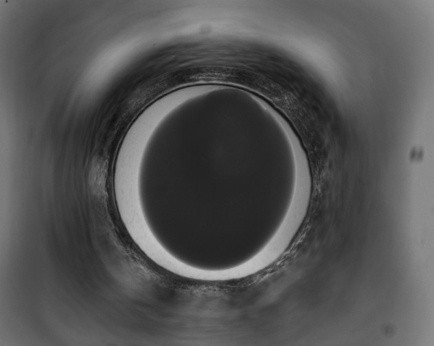 X0000101390146200807141141