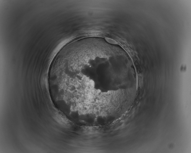 X0000101390147200807141141