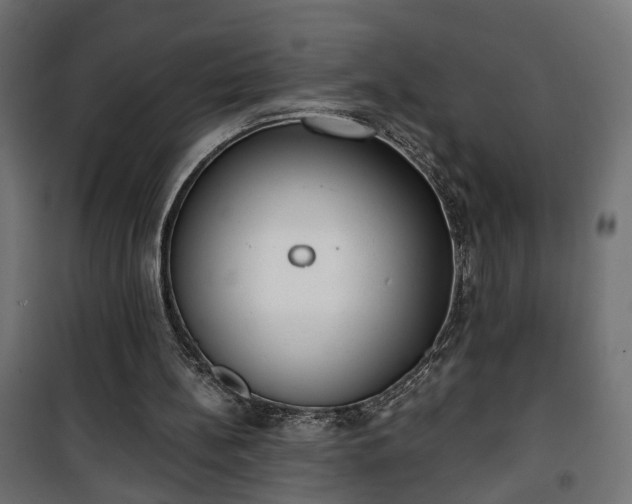 X0000101390148200807141141