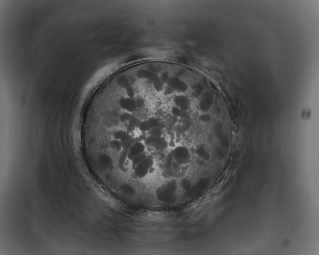 X0000101390149200807141141