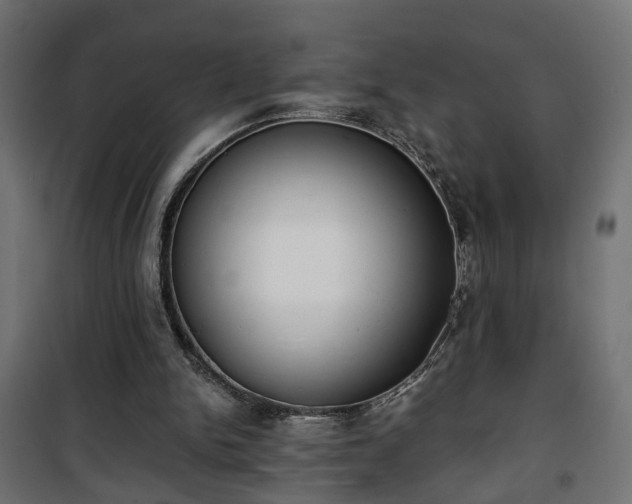 X0000101390150200807141141