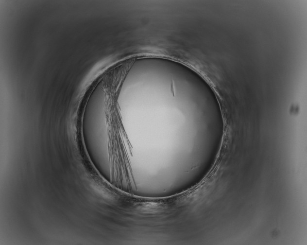 X0000101390151200807141141