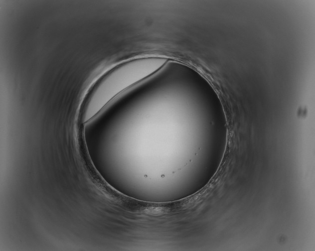 X0000101390152200807141141